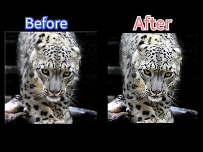 AI Image Enhancement